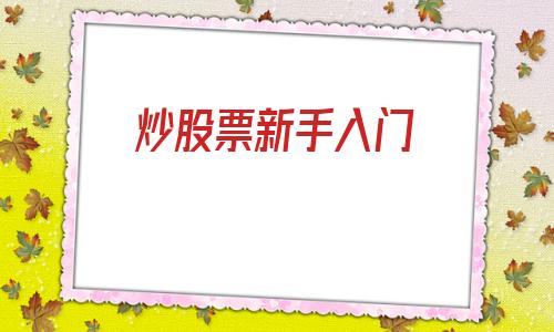 炒股票新手入门(炒股票新手入门基础知识)