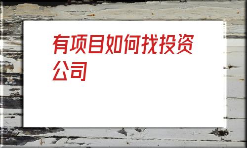 有项目如何找投资公司(有项目如何找投资人)