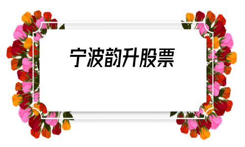 宁波韵升股票(宁波韵升股票历史交易数据)