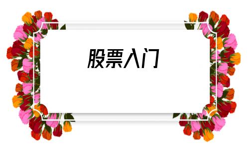 股票入门(股票入门视频教程)