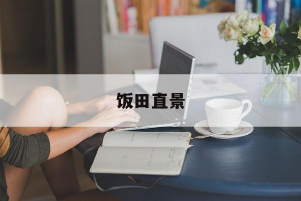 饭田直景(饭田什么意思)